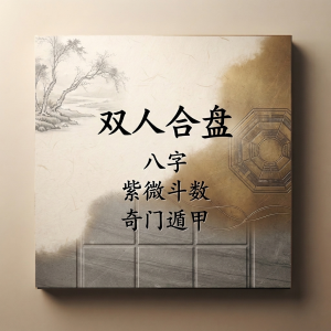 双人合盘报告 八字 紫微斗数 奇门遁甲
